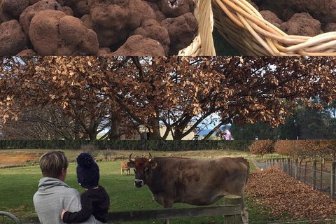 Unearthed Chefs Tour - Great Ocean Road Tourism 6