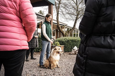 Unearthed Chefs Tour - Great Ocean Road Tourism 10