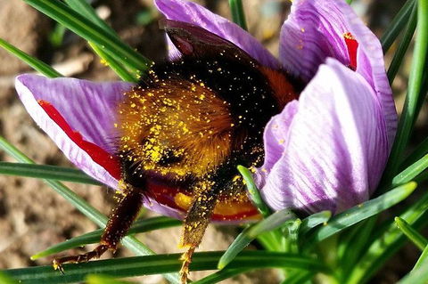 Unearthed Chefs Tour - Great Ocean Road Tourism 9