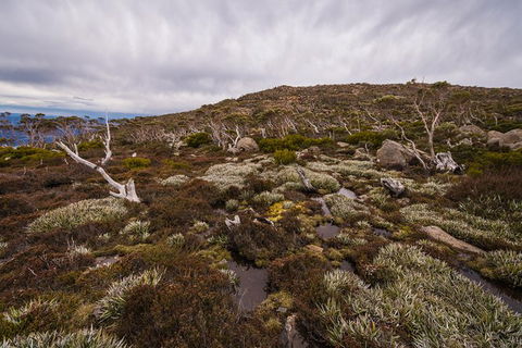 Alpine Loop - Great Ocean Road Tourism 0