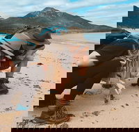 Freycinet Walking Tour - Great Ocean Road Tourism