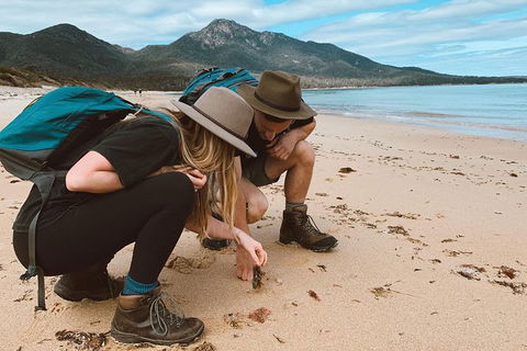 Freycinet Walking Tour - Great Ocean Road Tourism 0