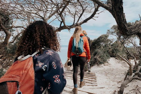 Freycinet Walking Tour - Great Ocean Road Tourism 6