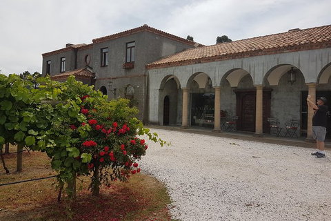 Cruise Ship Excursion: Gourmet Food & Wine - Great Ocean Road Tourism 18