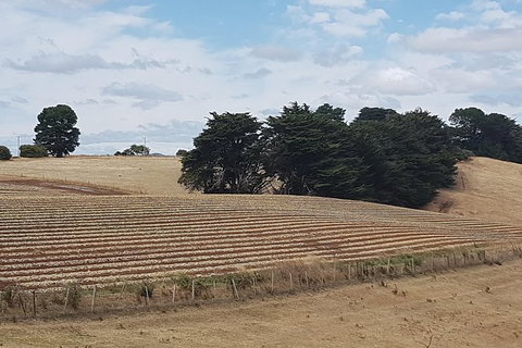 Cruise Ship Excursion: Gourmet Food & Wine - Great Ocean Road Tourism 9