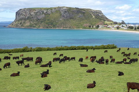 Cruise Ship Excursion: Stanley - Great Ocean Road Tourism 0