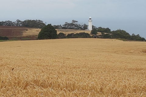 Cruise Ship Excursion: Stanley - Great Ocean Road Tourism 16
