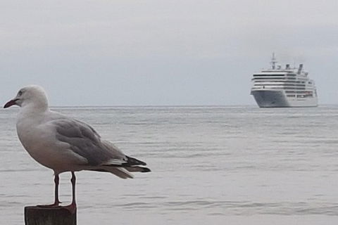 Cruise Ship Excursion: Stanley - Great Ocean Road Tourism 9