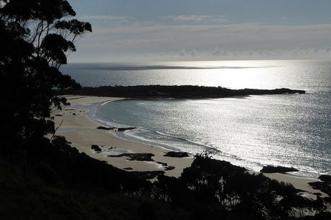 Cruise Ship Excursion: Stanley - Great Ocean Road Tourism 24
