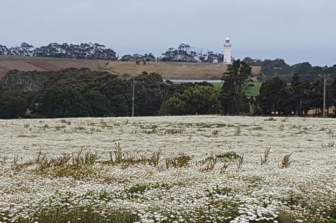 Cruise Ship Excursion: NW Tassie Coastal Explorer - Great Ocean Road Tourism 14