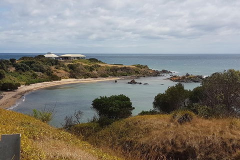 Cruise Ship Excursion: NW Tassie Coastal Explorer - Great Ocean Road Tourism 13