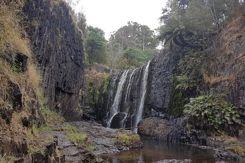 Cruise Ship Excursion: NW Tassie Coastal Explorer - Great Ocean Road Tourism 16