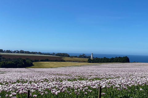 Table Cape Lighthouse Tours - Great Ocean Road Tourism 8