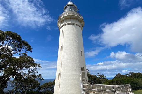 Table Cape Lighthouse Tours - Great Ocean Road Tourism 4