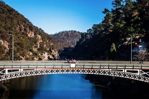 3.5 Hours Walking Tour To Cataract Gorge With Local Guide - Great Ocean Road Tourism 5