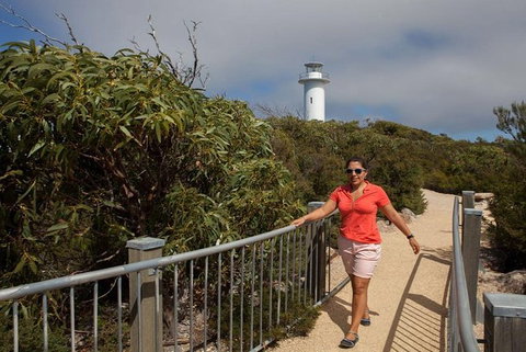 Half-Day Tour To Wineglass Bay From Launceston With Guide - Great Ocean Road Tourism 2