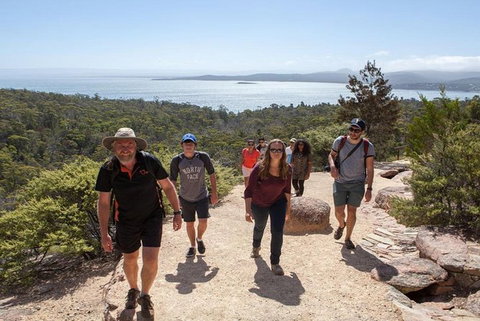 Half-Day Tour To Wineglass Bay From Launceston With Guide - Great Ocean Road Tourism 4