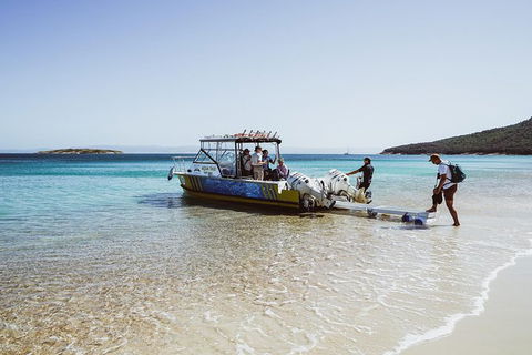 Sea & Explore Wineglass Bay & Freycinet National Park - Cruise & Walk - Great Ocean Road Tourism 3
