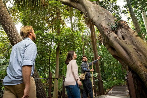 Aboriginal Heritage Walk - Royal Botanic Gardens Victoria, Melbourne Gardens - Great Ocean Road Tourism 1