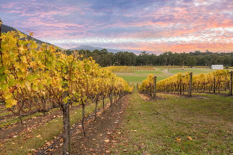 Yarra Valley Boutique Winery Tour From Melbourne - Great Ocean Road Tourism 0