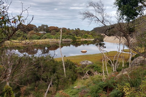 Wilsons Promontory Brainstorming Escape - Great Ocean Road Tourism 9