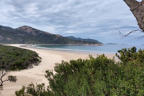 Wilsons Promontory Brainstorming Escape - Great Ocean Road Tourism 1