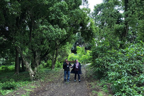 Alices Journeys Guided Walking Tours Of Daylesford - Great Ocean Road Tourism 5