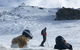 Weekend Warrior Snow Trip - thumb 8