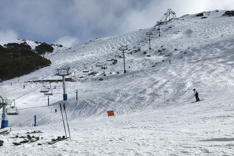 Alpine Ultimate Snow Trip - Great Ocean Road Tourism 5