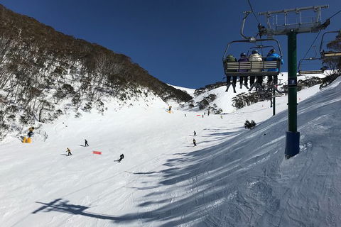Alpine Ultimate Snow Trip - Great Ocean Road Tourism 10