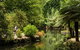 Discover Tour: Dandenong Ranges & William Ricketts Sanctuary - thumb 3