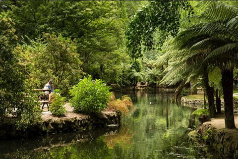 Discover Tour: Dandenong Ranges & William Ricketts Sanctuary - Great Ocean Road Tourism 3