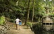 Discover Tour: Dandenong Ranges & William Ricketts Sanctuary - thumb 4