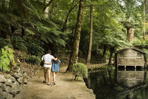 Discover Tour: Dandenong Ranges & William Ricketts Sanctuary - Great Ocean Road Tourism 4