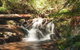 Discover Tour: Dandenong Ranges & William Ricketts Sanctuary - thumb 0