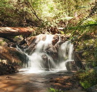 Discover Tour Dandenong Ranges  William Ricketts Sanctuary - Great Ocean Road Tourism