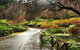 Discover Tour: Dandenong Ranges & William Ricketts Sanctuary - thumb 5