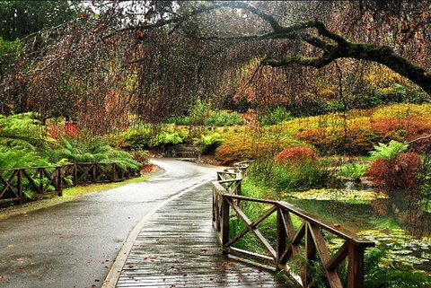 Discover Tour: Dandenong Ranges & William Ricketts Sanctuary - Great Ocean Road Tourism 5