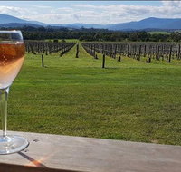 Yarra Valley 7 Hours Guided Wine Tour with 2-Course Lunch - Great Ocean Road Tourism