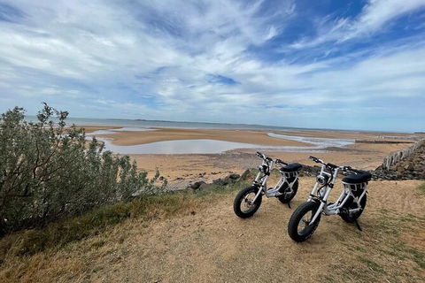 E-Bike Hire Super Cruzer In Phillip Island - Great Ocean Road Tourism 3