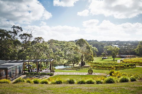 Mornington Peninsula 2-6 Guests Lunch At Merricks General Wine Store Or RareHare - Great Ocean Road Tourism 1
