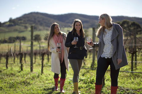 Yarra Valley Premium Tour Inc Lunch And Cheese And Wine Pairing At De Bortoli - Great Ocean Road Tourism 2