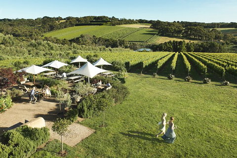 Small Group Mornington Peninsula, Arts, Food And Wine Tour - Great Ocean Road Tourism 1