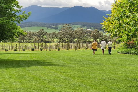 Yarra Valley Wine Tasting Day Tour From Melbourne - Great Ocean Road Tourism 6