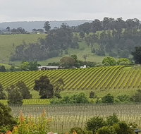 Yarra Valley Wine Tasting Day Tour from Melbourne - Great Ocean Road Tourism