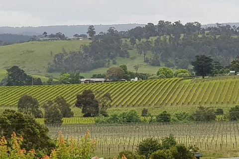 Yarra Valley Wine Tasting Day Tour From Melbourne - Great Ocean Road Tourism 0