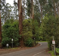 Full-Day Dandenong Ranges Tour with Pickup from Melbourne - Great Ocean Road Tourism