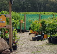 Yarra Valley Wineries and Rayners Orchard Tour from Melbourne - Great Ocean Road Tourism