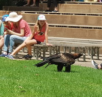 Healesville Sanctuary and Rayners Orchard Tour from Melbourne - Great Ocean Road Tourism