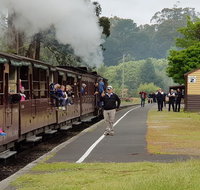 Day Tour of Yarra Valley Puffing Billy and Rayners Orchard - Great Ocean Road Tourism